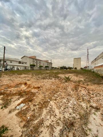 imagem 3 - Terreno comercial para locação por R$ 5.100,00/mês no bairro Catharina Zanaga em Americana/SP. imagem 3 - Terreno comercial para locação por R$ 5.100,00/mês no bairro Catharina Zanaga em Americana/SP.
