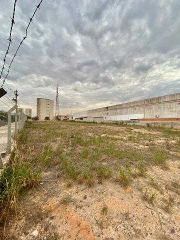 imagem 4 - Terreno comercial para locação por R$ 5.100,00/mês no bairro Catharina Zanaga em Americana/SP. imagem 4 - Terreno comercial para locação por R$ 5.100,00/mês no bairro Catharina Zanaga em Americana/SP.