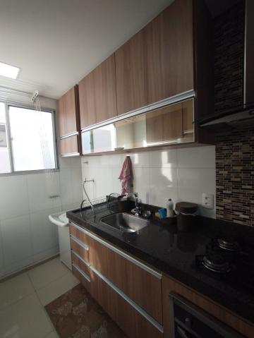 Apartamento disponível para alugar ou vender no Residencial Parque Alabama em Americana/SP