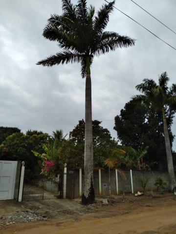 imagem 1 - Chácara à Venda R$350.000,00 - Acapulco - Aceita Permuta - Nova Odessa - SP imagem 1 - Chácara à Venda R$350.000,00 - Acapulco - Aceita Permuta - Nova Odessa - SP