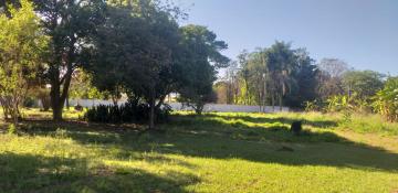 Limeira Chacara Santa Paula Rural Venda R$800.000,00 1 Dormitorio  