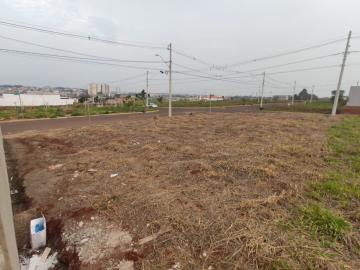 Alugar Terreno / Residencial em Santa Bárbara D`Oeste. apenas R$ 350.000,00