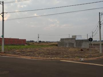 imagem 1 - Terreno à venda por R$350.000,00 no Jardim Itapuã em Santa Bárbara d`Oeste/SP imagem 1 - Terreno à venda por R$350.000,00 no Jardim Itapuã em Santa Bárbara d`Oeste/SP