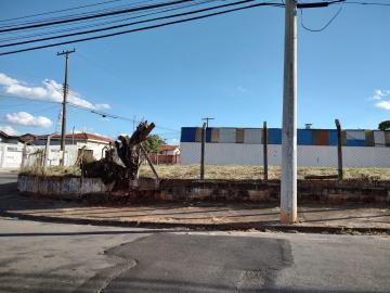 Terreno comercial disponível para alugar por R$ 1.240,00/mês no bairro Vila Dainese em Americana/SP.