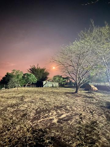 imagem 5 - Sítio à venda por R$ 1.700.000,00 no Bairro Recreio Campestre Idanorma em Araraquara/SP. imagem 5 - Sítio à venda por R$ 1.700.000,00 no Bairro Recreio Campestre Idanorma em Araraquara/SP.