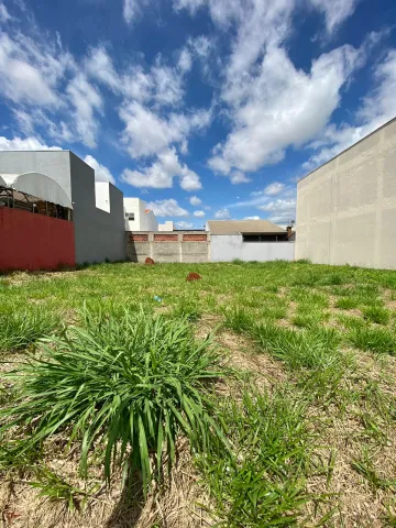 imagem 1 - Terreno disponível para locação por R$ 1.500,00/mês no Jardim Dona Regina em Santa Barbara D´Oeste/SP. imagem 1 - Terreno disponível para locação por R$ 1.500,00/mês no Jardim Dona Regina em Santa Barbara D´Oeste/SP.