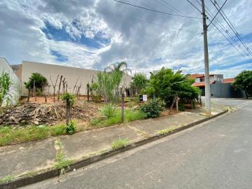 imagem 1 - Terreno para alugar por R$ 1.200,00/mês no bairro Parque Nova Carioba em Americana/SP. imagem 1 - Terreno para alugar por R$ 1.200,00/mês no bairro Parque Nova Carioba em Americana/SP.