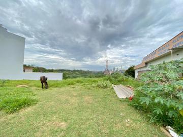 imagem 2 - Terreno disponível para alugar por R$ 1.450,00/mês no bairro Parque Nova Carioba em Americana/SP. imagem 2 - Terreno disponível para alugar por R$ 1.450,00/mês no bairro Parque Nova Carioba em Americana/SP.