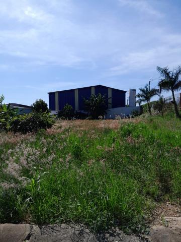 imagem 2 - Terreno para alugar por  R$ 4.500,00/mês no bairro Lot. Industrial Abdo Najar em Americana/SP. imagem 2 - Terreno para alugar por  R$ 4.500,00/mês no bairro Lot. Industrial Abdo Najar em Americana/SP.