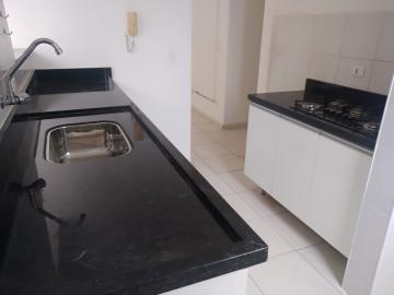 Apartamento para venda R$ 240.000,00 -  Residencial Parque Real - Bairro Jardim Dona Regina - Santa Barbara D`Oeste/SP