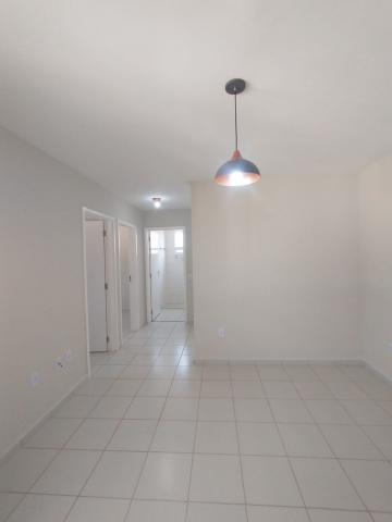 Apartamento para venda  R$155.000,00 - Residencial Thainá - Bairro Jardim Balsa II - Americana/SP