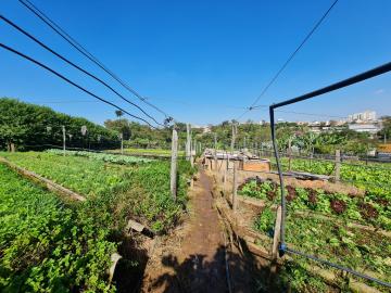 imagem 2 - Área a venda por R$ 1.800.000,00 no Jardim Europa em Santa Bárbara D´Oeste/SP. imagem 2 - Área a venda por R$ 1.800.000,00 no Jardim Europa em Santa Bárbara D´Oeste/SP.