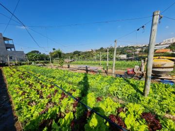 imagem 3 - Área a venda por R$ 1.800.000,00 no Jardim Europa em Santa Bárbara D´Oeste/SP. imagem 3 - Área a venda por R$ 1.800.000,00 no Jardim Europa em Santa Bárbara D´Oeste/SP.