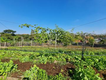 imagem 4 - Área a venda por R$ 1.800.000,00 no Jardim Europa em Santa Bárbara D´Oeste/SP. imagem 4 - Área a venda por R$ 1.800.000,00 no Jardim Europa em Santa Bárbara D´Oeste/SP.