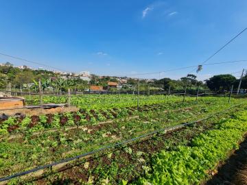 imagem 5 - Área a venda por R$ 1.800.000,00 no Jardim Europa em Santa Bárbara D´Oeste/SP. imagem 5 - Área a venda por R$ 1.800.000,00 no Jardim Europa em Santa Bárbara D´Oeste/SP.