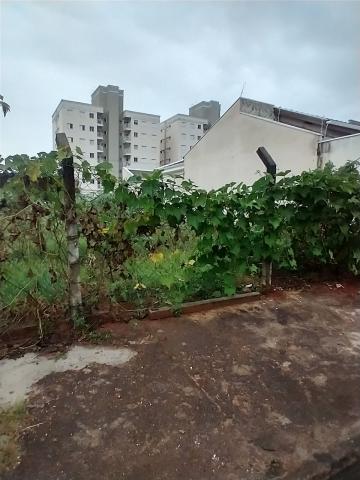 imagem 2 - Terreno à venda por R$400.000,00 no bairro Parque Universitário em Americana/SP imagem 2 - Terreno à venda por R$400.000,00 no bairro Parque Universitário em Americana/SP