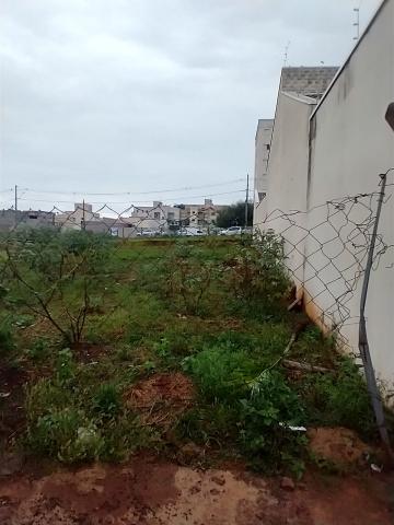 imagem 4 - Terreno à venda por R$400.000,00 no bairro Parque Universitário em Americana/SP imagem 4 - Terreno à venda por R$400.000,00 no bairro Parque Universitário em Americana/SP