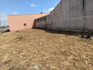 imagem 3 - Terreno à venda por R$180.000,00 no Parque São Jerônimo em Americana /SP imagem 3 - Terreno à venda por R$180.000,00 no Parque São Jerônimo em Americana /SP