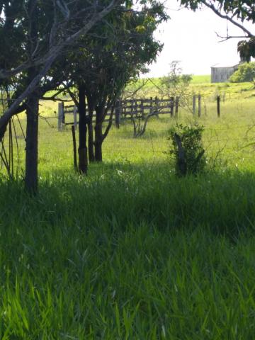 imagem 3 - O Sítio à venda por R$ 640.000,00, Estrada Volta Grande, Piracicaba / SP imagem 3 - O Sítio à venda por R$ 640.000,00, Estrada Volta Grande, Piracicaba / SP