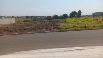 imagem 1 - Terreno - Residencial imagem 1 - Terreno - Residencial