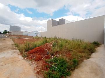 imagem 2 - Terreno misto para alugar por R$ 1.300,00/mês no Parque das Nações em Santa Bárbara d`Oeste/SP. imagem 2 - Terreno misto para alugar por R$ 1.300,00/mês no Parque das Nações em Santa Bárbara d`Oeste/SP.