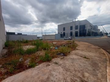 imagem 3 - Terreno misto para alugar por R$ 1.300,00/mês no Parque das Nações em Santa Bárbara d`Oeste/SP. imagem 3 - Terreno misto para alugar por R$ 1.300,00/mês no Parque das Nações em Santa Bárbara d`Oeste/SP.