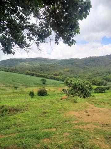 imagem 5 - Sítio à venda por R$ 4.000.000,00 no bairro Morro Grande em Vargem/SP. imagem 5 - Sítio à venda por R$ 4.000.000,00 no bairro Morro Grande em Vargem/SP.