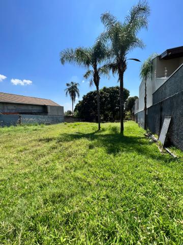imagem 1 - Terreno à venda por R$500.000,00 no bairro Parque Residencial Tancredi em Americana/SP imagem 1 - Terreno à venda por R$500.000,00 no bairro Parque Residencial Tancredi em Americana/SP