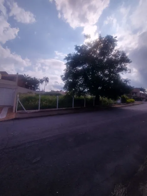 imagem 5 - Terreno à venda por R$ 1.120.000,00 - Bairro Jardim Ipiranga - Americana São Paulo imagem 5 - Terreno à venda por R$ 1.120.000,00 - Bairro Jardim Ipiranga - Americana São Paulo