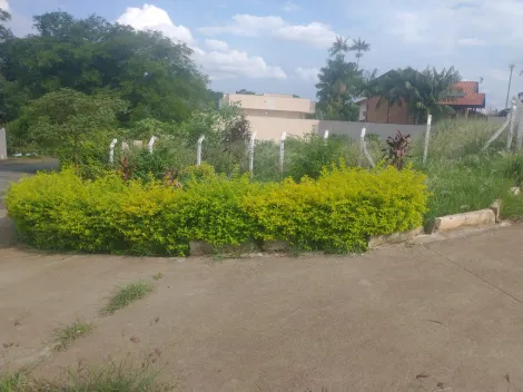 Terreno à venda por R$ 1.120.000,00 - Bairro Jardim Ipiranga - Americana São Paulo