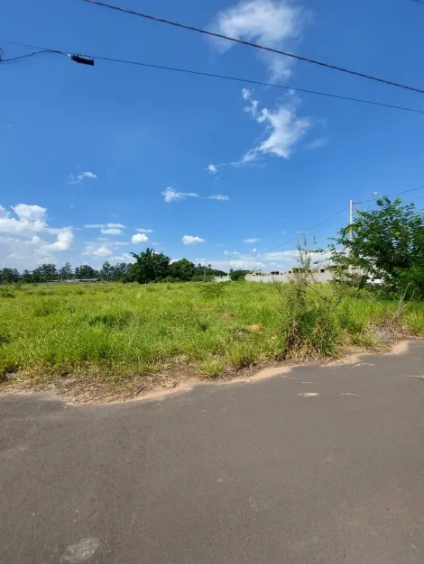 Terreno à venda R$ 320.000,00 - Bairro Pacaembu - Americana/SP