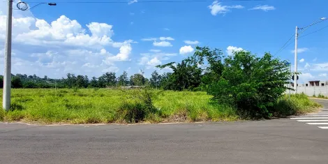 imagem 2 - Terreno à venda no Bairro Pacaembu em Americana/SP imagem 2 - Terreno à venda no Bairro Pacaembu em Americana/SP