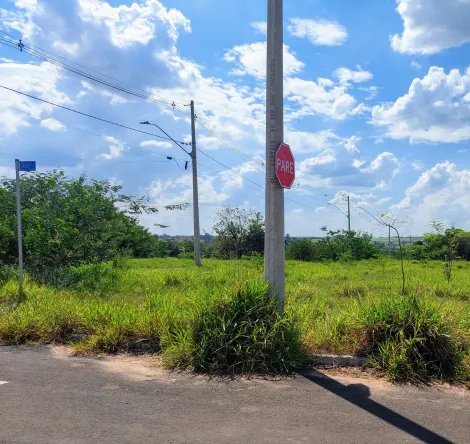 imagem 4 - Terreno à venda no Bairro Pacaembu em Americana/SP imagem 4 - Terreno à venda no Bairro Pacaembu em Americana/SP