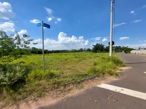 imagem 5 - Terreno à venda no Bairro Pacaembu em Americana/SP imagem 5 - Terreno à venda no Bairro Pacaembu em Americana/SP
