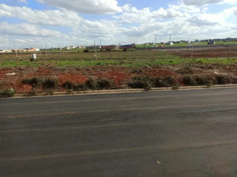 imagem 1 - Terreno à venda por R$250.000,00 no bairro Estância Hípica em Nova Odessa/SP. imagem 1 - Terreno à venda por R$250.000,00 no bairro Estância Hípica em Nova Odessa/SP.