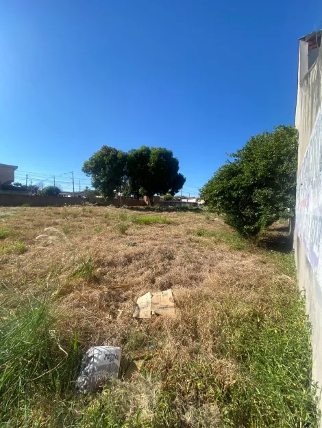 imagem 5 - Terreno disponível para alugar, 415 m² por R$ 2.500/Mês imagem 5 - Terreno disponível para alugar, 415 m² por R$ 2.500/Mês