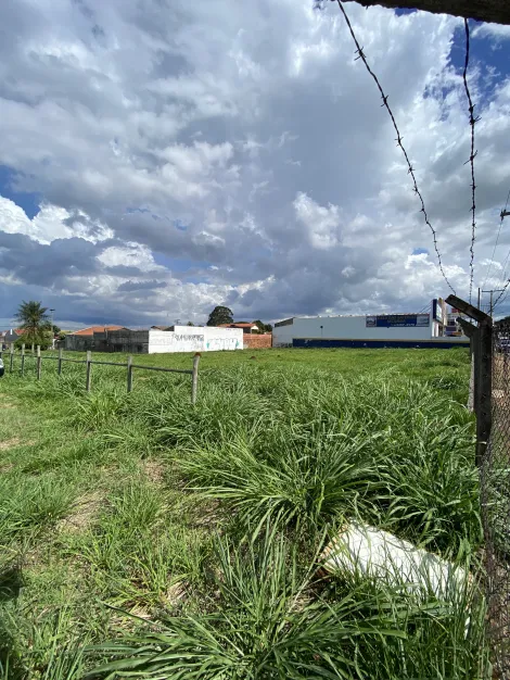 Terreno disponível para alugar na Av. Iacanga em Americana/SP