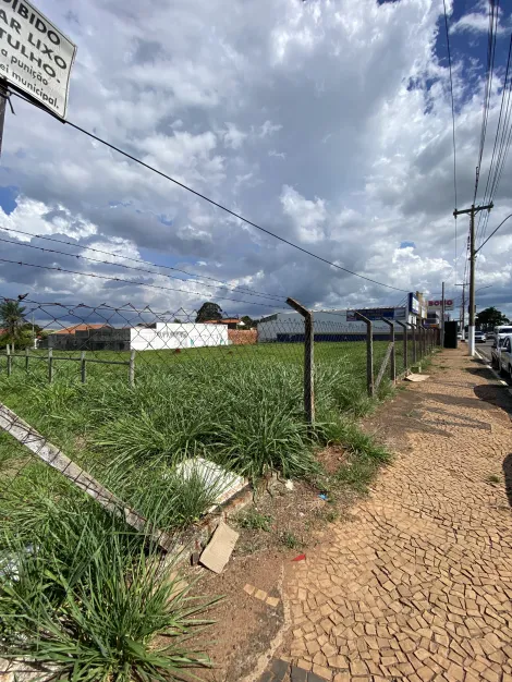 Terreno disponível para alugar na Av. Iacanga em Americana/SP