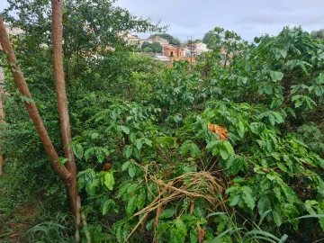 imagem 4 - Terreno á Venda -  R$ 190.000,00 - Bairro : São Roque - Americana -S.P . Quitado - A/C Financiamento . imagem 4 - Terreno á Venda -  R$ 190.000,00 - Bairro : São Roque - Americana -S.P . Quitado - A/C Financiamento .