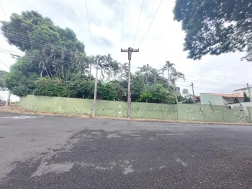 imagem 3 - Casa à venda no bairro Jardim São Domingos em Americana/SP imagem 3 - Casa à venda no bairro Jardim São Domingos em Americana/SP