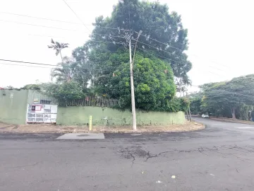imagem 5 - Casa à venda no bairro Jardim São Domingos em Americana/SP imagem 5 - Casa à venda no bairro Jardim São Domingos em Americana/SP