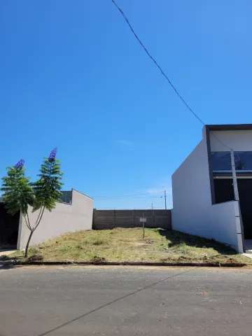 imagem 1 - Terreno à venda por 265.000,00 no Jardim Pacaembu em Americana/SP imagem 1 - Terreno à venda por 265.000,00 no Jardim Pacaembu em Americana/SP