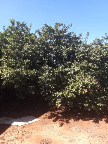 imagem 3 - Terreno à venda por R$395.000,00 no Parque Novo Mundo em Americana/SP imagem 3 - Terreno à venda por R$395.000,00 no Parque Novo Mundo em Americana/SP