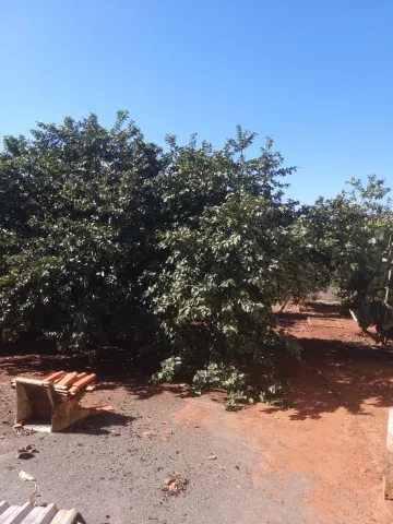 imagem 5 - Terreno à venda por R$395.000,00 no Parque Novo Mundo em Americana/SP imagem 5 - Terreno à venda por R$395.000,00 no Parque Novo Mundo em Americana/SP