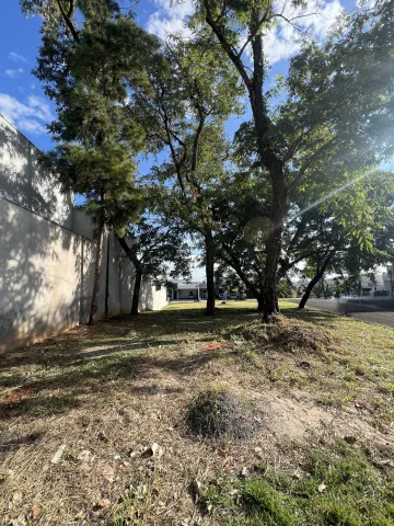imagem 4 - Terreno à venda no Condomínio Villa Carioba em Americana/SP imagem 4 - Terreno à venda no Condomínio Villa Carioba em Americana/SP