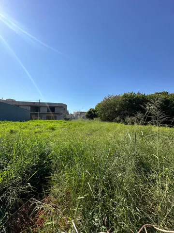 imagem 3 - Terreno à venda no bairro Jardim dos Pinheiros em Americana/SP imagem 3 - Terreno à venda no bairro Jardim dos Pinheiros em Americana/SP