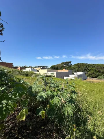 imagem 3 - Terreno área mista à venda no bairro Jardim dos Pinheiros em Americana/SP imagem 3 - Terreno área mista à venda no bairro Jardim dos Pinheiros em Americana/SP