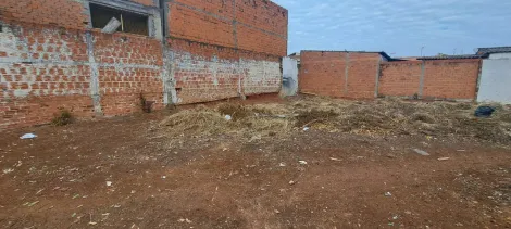 imagem 5 - Terreno para alugar e à venda no bairro Cidade Nova em Santa Bárbara d`Oeste/SP. imagem 5 - Terreno para alugar e à venda no bairro Cidade Nova em Santa Bárbara d`Oeste/SP.
