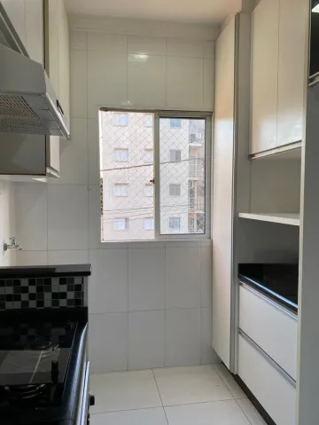 imagem 4 - Apartamento à venda no Condomínio Campos Verdes em Americana/SP imagem 4 - Apartamento à venda no Condomínio Campos Verdes em Americana/SP