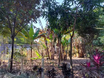 imagem 2 - Terreno à venda no bairro Residencial Vale dos Lírios em Nova Odessa/SP imagem 2 - Terreno à venda no bairro Residencial Vale dos Lírios em Nova Odessa/SP
